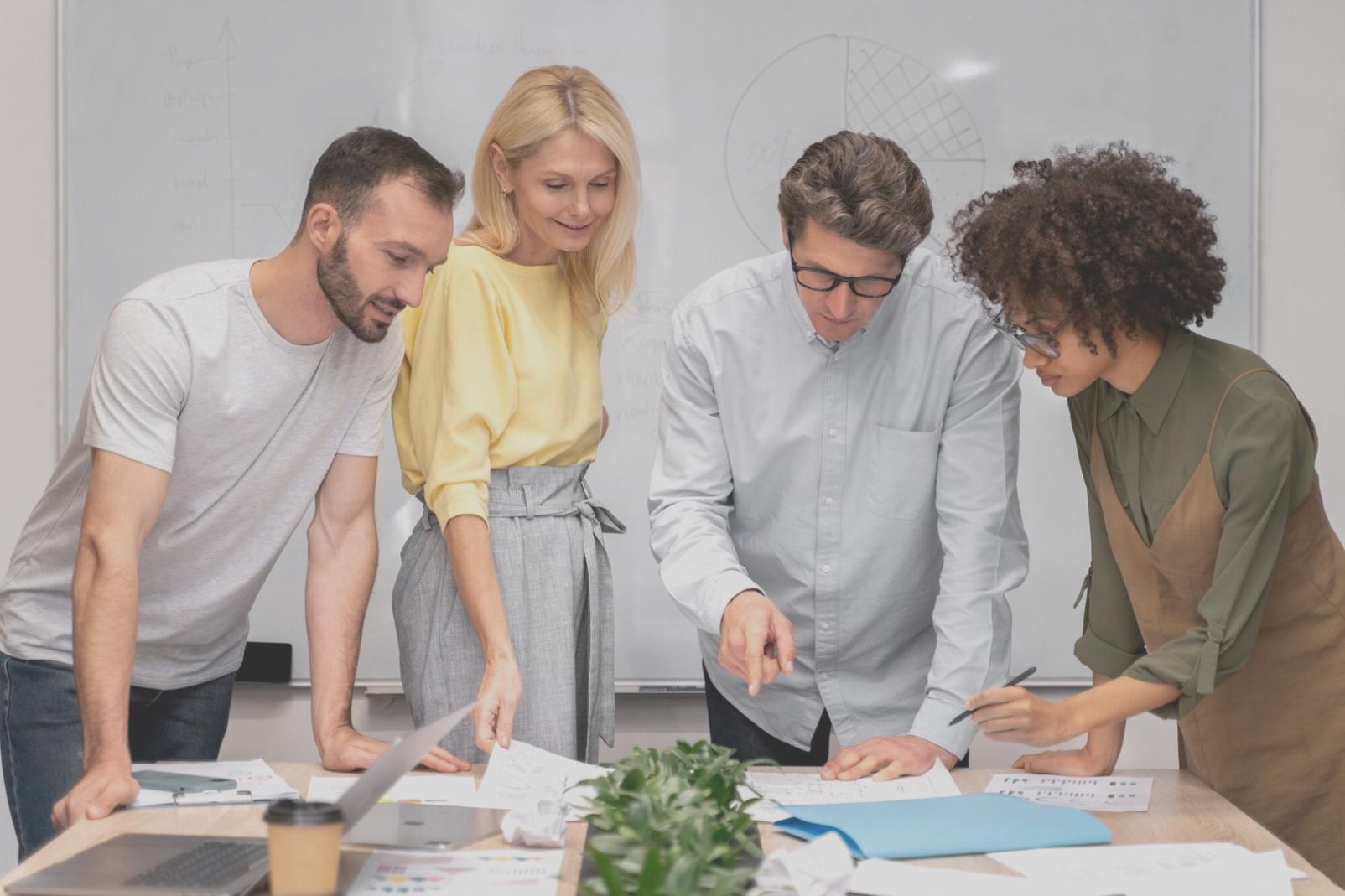 Equipo de zentoryplex trabajando en nuevas funcionalidades